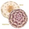 CIYODO 6-Piece Sea Urchin Shell Ornaments, Succulent Holders, Random Colors view 4
