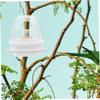 BCOATH Bird Feeder for Parrots view 3