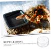 BESPORTBLE Reptile Water and Food Bowl - 30 Pack view 2