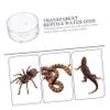 BESPORTBLE Reptile Water and Food Bowl - 30 Pack view 4