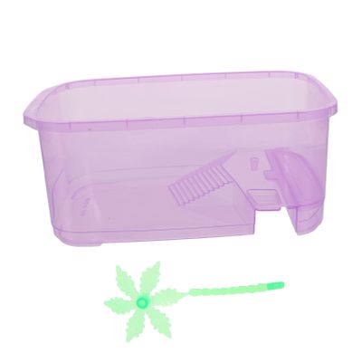 Purple Plastic Turtle Rearing Basin, One-Piece