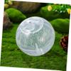 WOONEKY Transparent Hamster Ball view 2