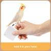 Bird Harness and Leash for Cockatiels view 3