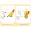 Bird Harness and Leash for Cockatiels view 4