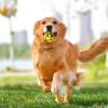 Durable Dog Ball for Aggressive Chewers view 2