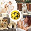 Durable Dog Ball for Aggressive Chewers view 4