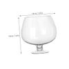 PAMINGONO Glass Tabletop Aquarium with Smooth Surface, Decorative Goldfish Bowl for Fish and Plants view 2