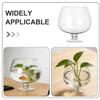 PAMINGONO Glass Tabletop Aquarium with Smooth Surface, Decorative Goldfish Bowl for Fish and Plants view 3