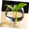 PAMINGONO Glass Tabletop Aquarium with Smooth Surface, Decorative Goldfish Bowl for Fish and Plants view 4