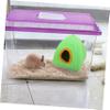 Cozy Hamster House view 4