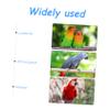 BESPORTBLE 2-Piece Parrot Flight Suits with Washable Diapers view 2
