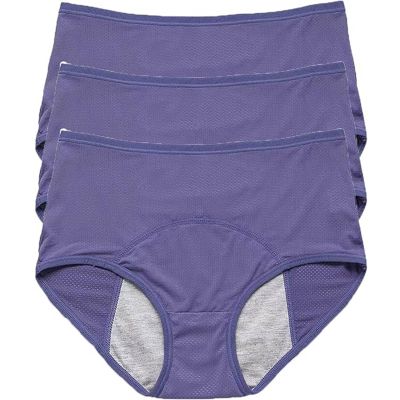 WDCAYQHZ Leakproof Period Underwear for Women, High-Waisted Mesh, 3-Pack, Blue, 6XL
