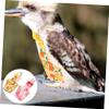 Reusable Bird Diapers for Parrots and Cockatiels, 2-Pack view 4