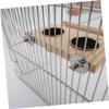 BCOATH Stainless Steel Parrot Food Bowl view 4