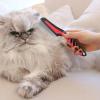 Flea Comb for Dogs and Cats view 2