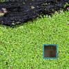 Floating Fish Feeding Ring Set - 10 Pieces view 3