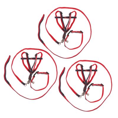 BCOATH 3-Piece Pet Leash Harness Set