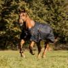 Waldhausen Scandic Outdoor Horse Blanket, 100 g, Black, 125 cm view 2