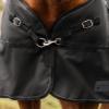 Waldhausen Scandic Outdoor Horse Blanket, 200 g, Black, 145 cm view 3