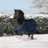 Waldhausen Nordic Outdoor Horse Blanket, 300 g, Navy Blue, 145 cm view 3