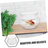 CAXUSD Transparent Desktop Betta Fish Tank with Artificial Plants view 4