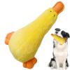 Duck Dog Chew Toy view 1