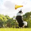 Duck Dog Chew Toy view 3