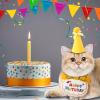 Cat Birthday Hat view 2