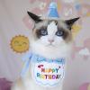 Wezalget Cat Birthday Party Hat and Scarf Set view 3
