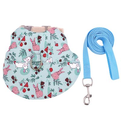 Adjustable Pet Harness and Leash for Small Animals
