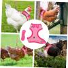 BESPORTBLE 2-Pack Chicken Backpack with Adjustable Harness and Long Leash view 2