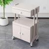 Beauty Salon Storage Cart with Drawer and Double-Door Cabinet view 4