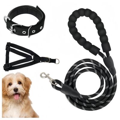 Dog Leash for Large & Medium Dogs
