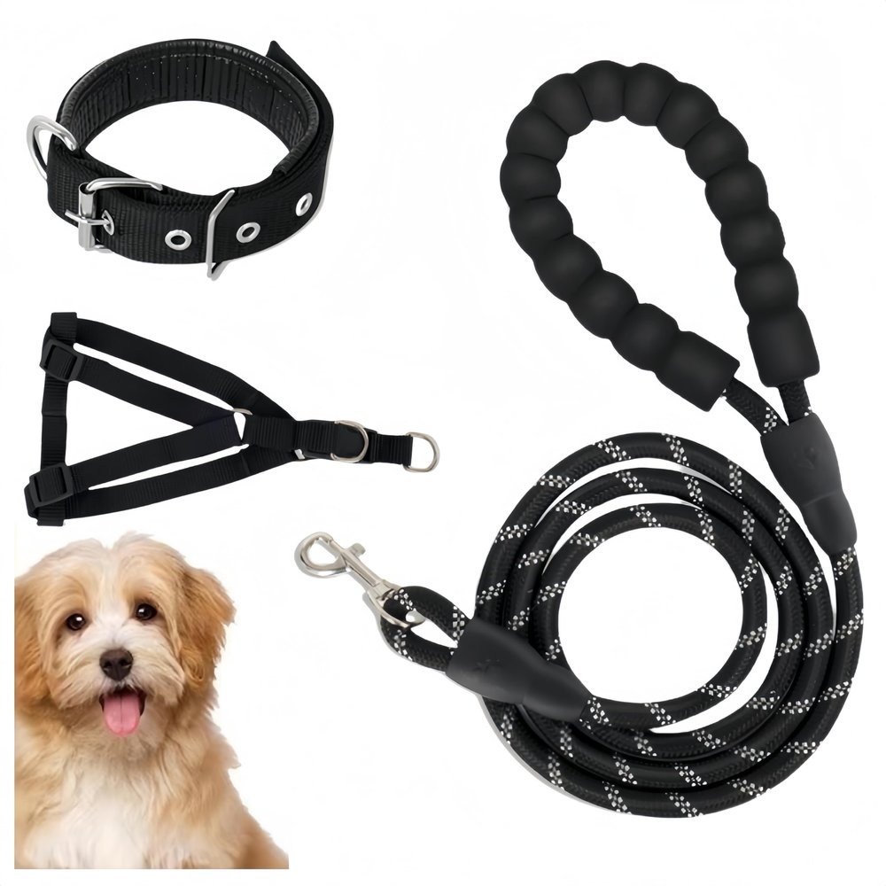 Dog Leash for Large & Medium Dogs