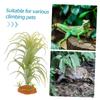 BESPORTBLE Terrarium Plant with Vivid Colors and Sturdy Base view 3