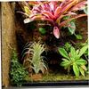 BESPORTBLE Terrarium Plant with Vivid Colors and Sturdy Base view 4