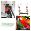 BESPORTBLE Parrot Swing Hammock view 4