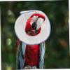 TOGEVAL Parrot Recovery Collar view 3