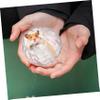 BESPORTBLE Clear Hamster Exercise Ball, Durable Plastic view 2