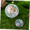 BESPORTBLE Clear Hamster Exercise Ball, Durable Plastic view 4