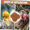 BESPORTBLE 4-Piece Natural Bird Nest Pads view 2