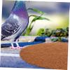 BESPORTBLE 4-Piece Natural Bird Nest Pads view 4