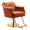 GUODDM Adjustable Hair Styling Beauty Chair, Classic Professional Salon Chair with 360° Hydraulic Pump (A1) view 1