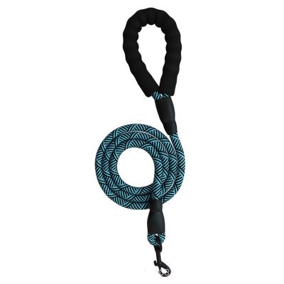 HWJFDC Adjustable Dog and Cat Harness with Leash, Reflective and Breathable Vest, Blue Rope, S