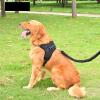 HWJFDC Adjustable Dog and Cat Harness with Leash, Reflective and Breathable Vest, Blue Rope, S view 4