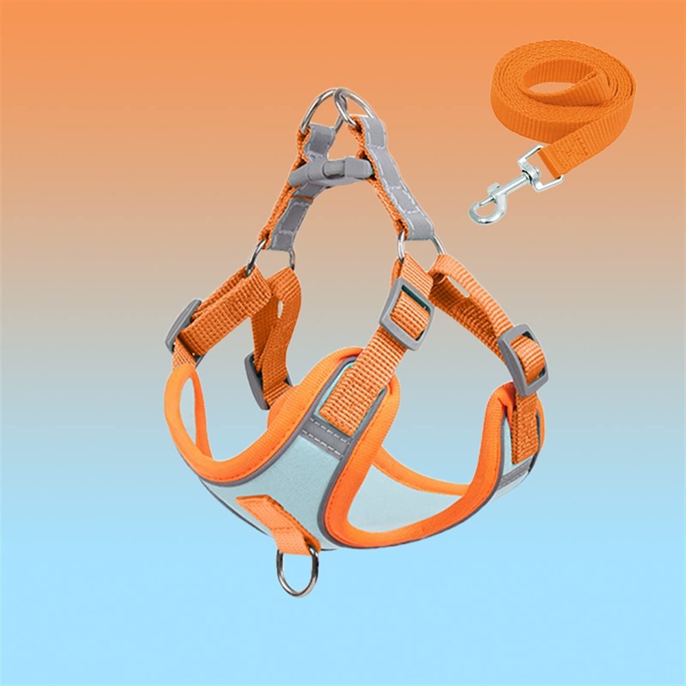 HWJFDC Dog Harness and Leash Set for Small Dogs and Cats, Reflective, Adjustable, Breathable, Blue, XL (10–15 kg)