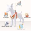 HWJFDC Dog Harness and Leash Set for Small Dogs and Cats, Reflective, Adjustable, Breathable, Blue, XL (10–15 kg) view 3