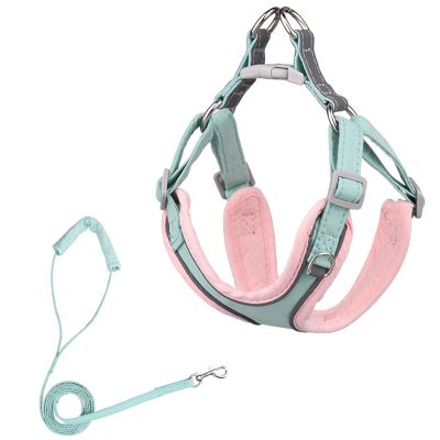 HWJFDC Adjustable No-Pull Dog Harness with Leash, Green-Pink, XXS