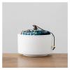 Pet Urn for Dogs and Cats, Ashes Keepsake Memorial Box 00719 view 1