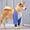 Dog Elbow Brace, 1 Pair, Dirt-Resistant, Breathable, Abrasion-Resistant Knee Protectors for Small Dogs view 3